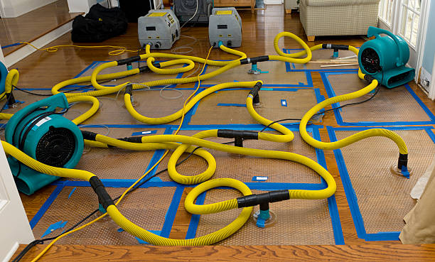 Professional Flood Damage Restoration technician working in Lesterville, SD